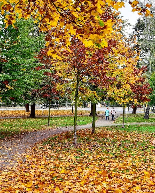 Park przy ul.Klonowej - Image 1