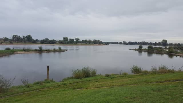 Damnatzer Elbblick - Image 2