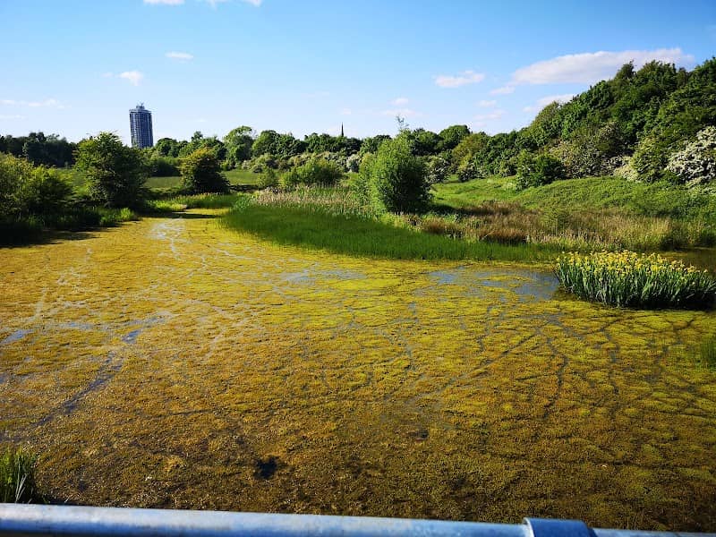 Stretford Ees - Image 2