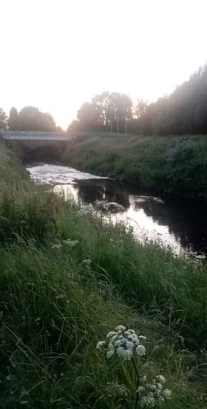 Stretford Ees - Image 1