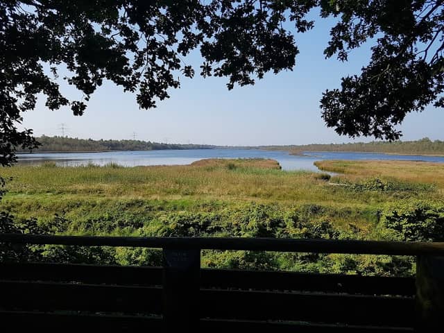 Aussichtsturm Landschaftsschutzgebiet 'Am Ottermeer' - Image 1