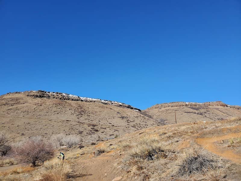 Tony Grampsas Dog Park - Image 2