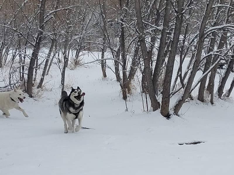 Tony Grampsas Dog Park - Image 1
