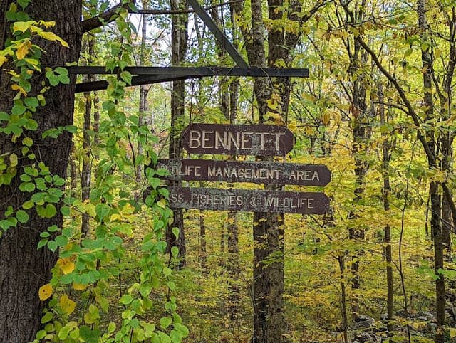 MassWildlife's Bennett Wildlife Management Area - Image 2