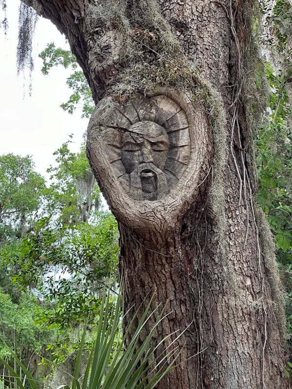 Spirit Tree #11 - Image 1