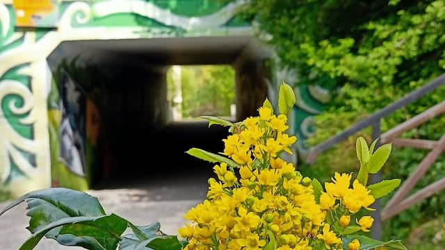 Tunel pod Młynska | CukinART - Image 1