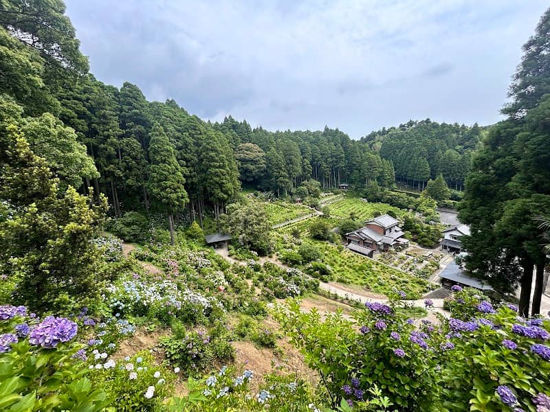 長屋門・入園受付場(服部農園あじさい屋敷) - Image 1