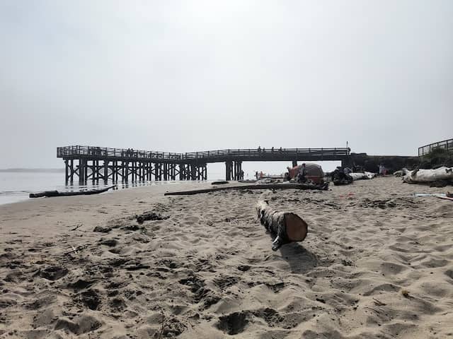 Lincoln City Beach - Image 3