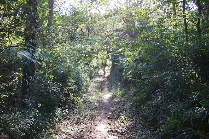 Hirayamajoshi Park - Image 2