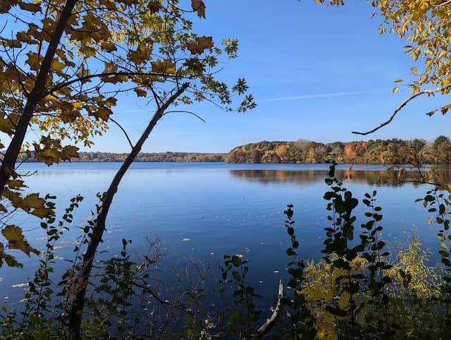 Fresh Pond Reservation - Image 2