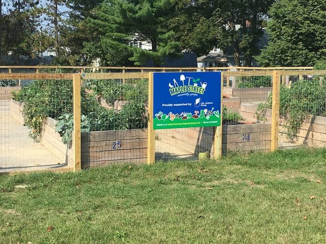 Maple Street Park - Image 2