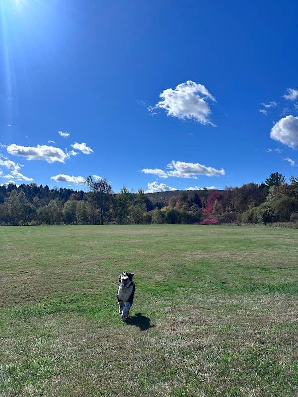Fairfax Community Park & Recreation Path - Image 2