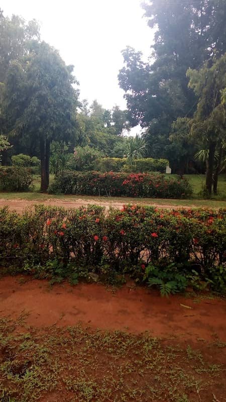 Manchakhiri Forest Park - Image 1