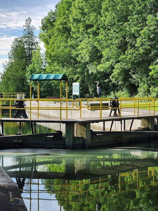 Trent-Severn Waterway, Lock 26 - Lakefield - Image 3