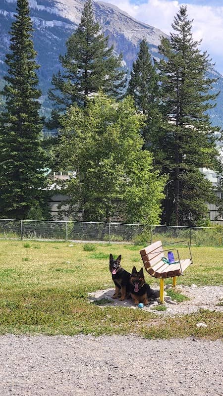 Elk Run Dog Park - Image 2
