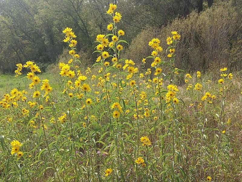 Cherokee Marsh Wildlife Area - Image 2