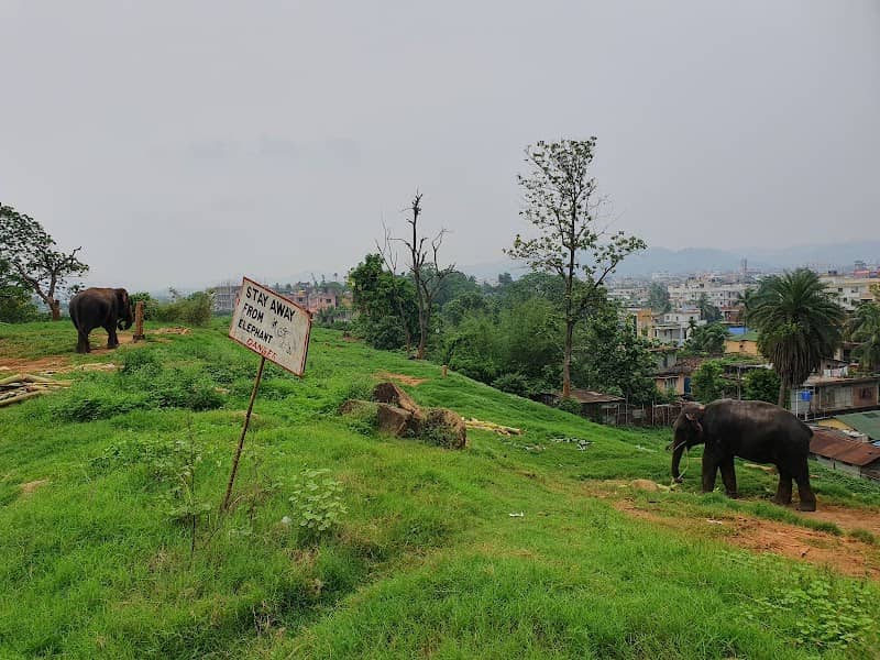 Choudhary Tilla View Point (The Home of the Elephants) - Image 1