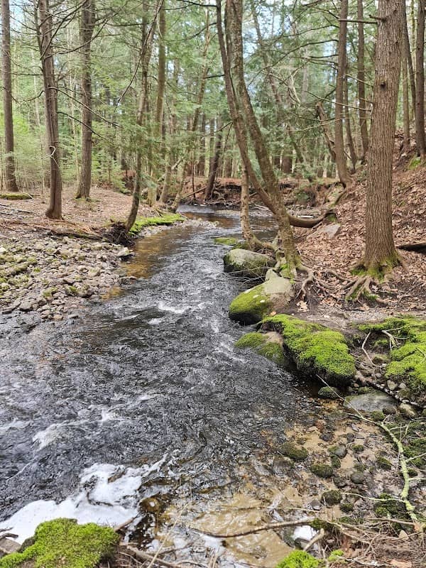 Mill Brook Preserve - Image 1