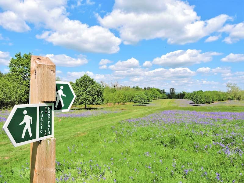 Penshurst Place Parkland - Image 1