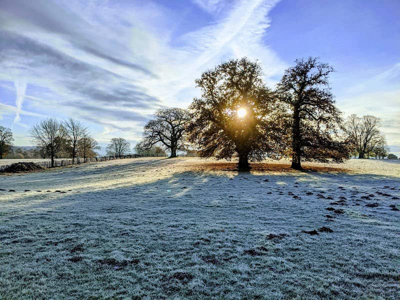 Penshurst Place Parkland - Image 2