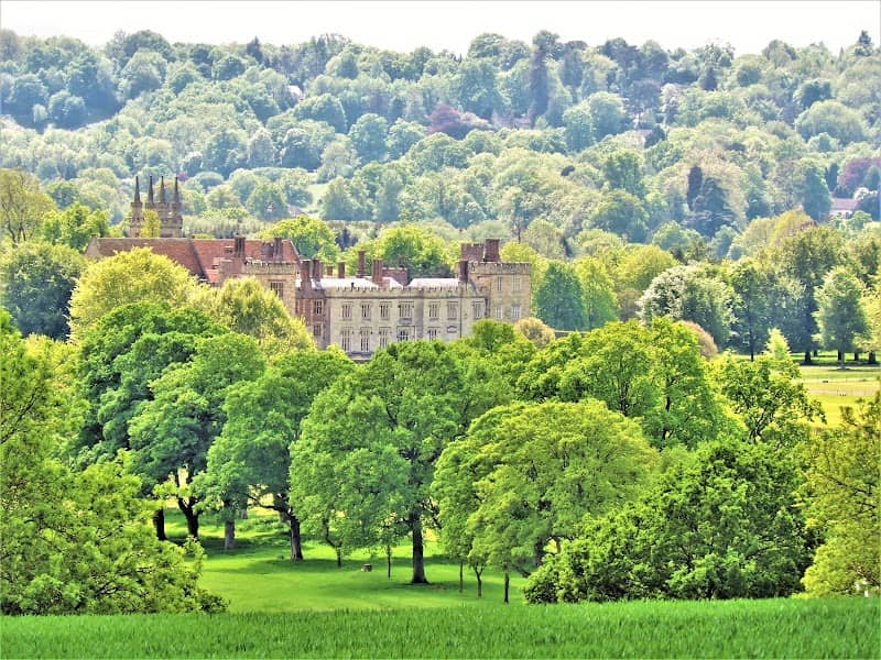 Penshurst Place Parkland - Image 3