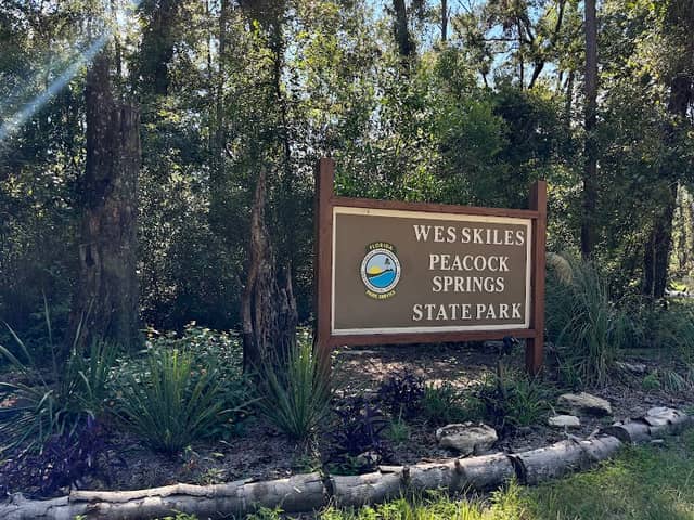Wes Skiles Peacock Springs State Park - Image 2