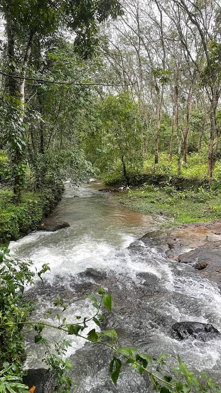 Chempukuzhy Thodu , Chempilavu - Image 1