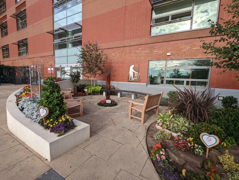 Rainbow garden whiston - Image 1
