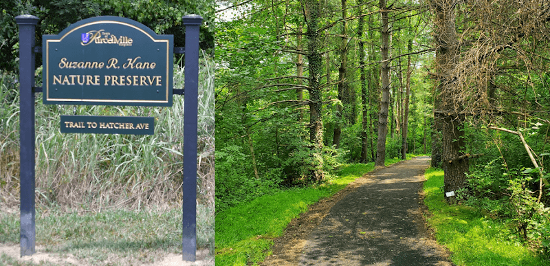 Suzanne R. Kane Nature Preserve Trail - Image 1