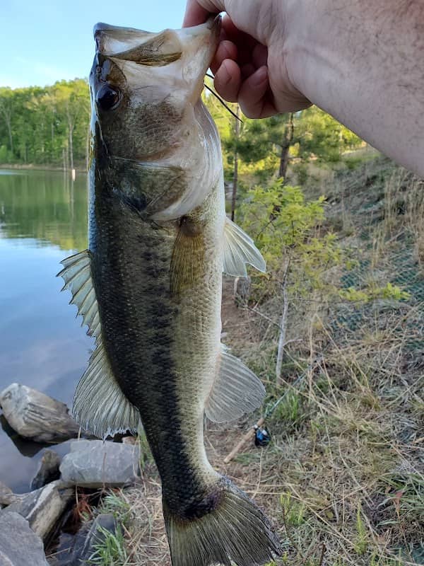 Hickory Log Creek Reservoir - Image 2