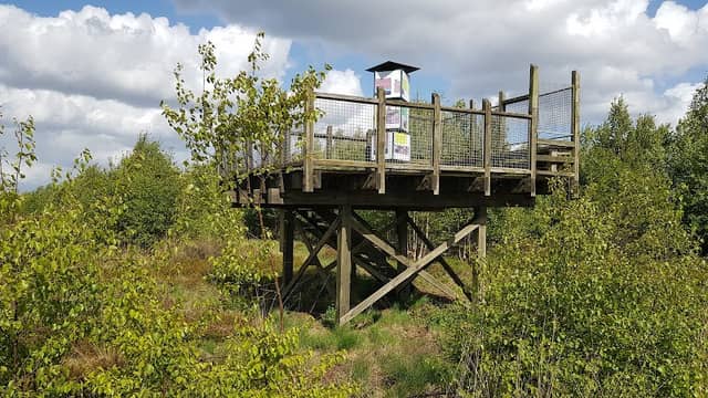 Aussichtsturm Moorlehrpfad - Image 1