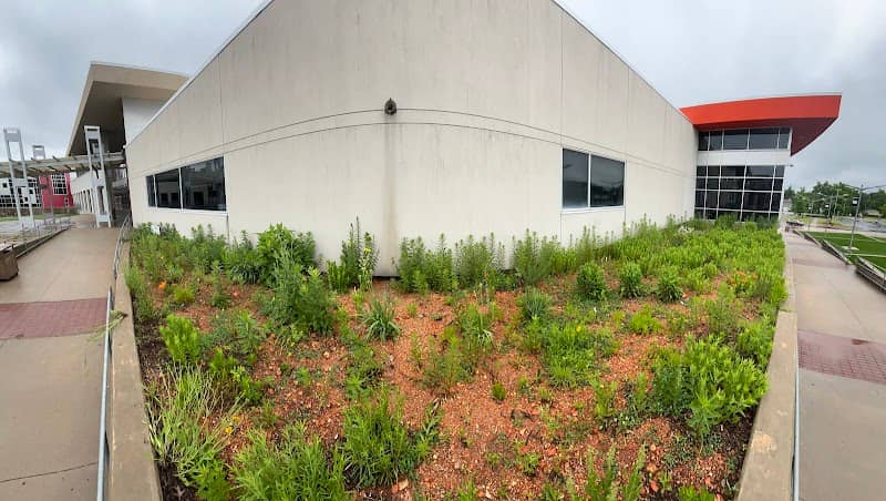 Native Pollinator Garden - Image 3