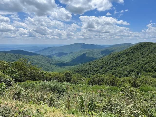 Thorofare Mountain Overlook - Image 1