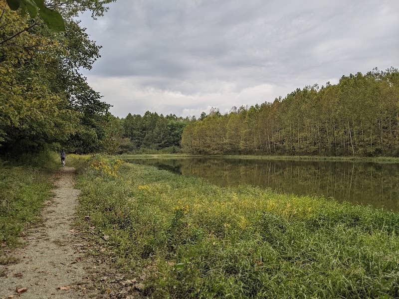 Upper Fall Creek Loop Trail - Image 1