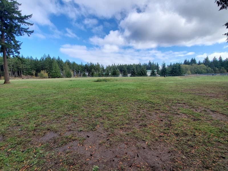 Patmore Park - Image 1