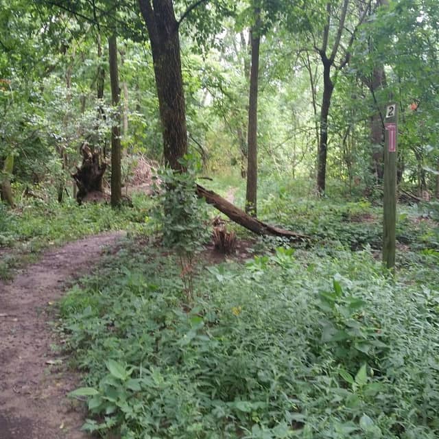 Heatherwood Park - Image 1