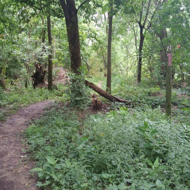 Heatherwood Park - Image 1