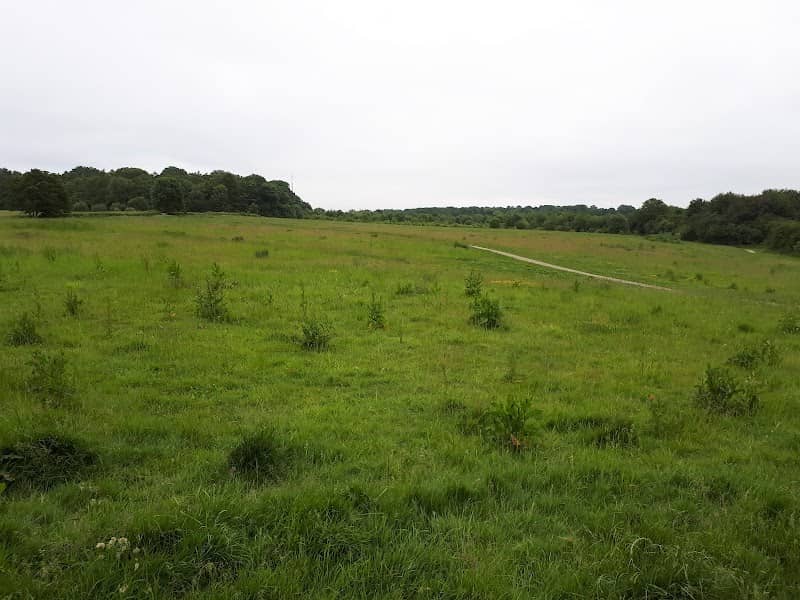 The Plens - Image 1