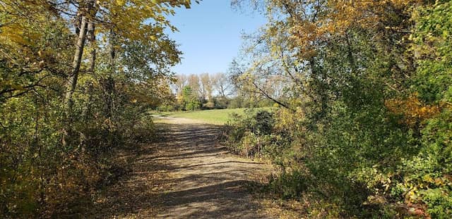 Freedom Lake - Image 2