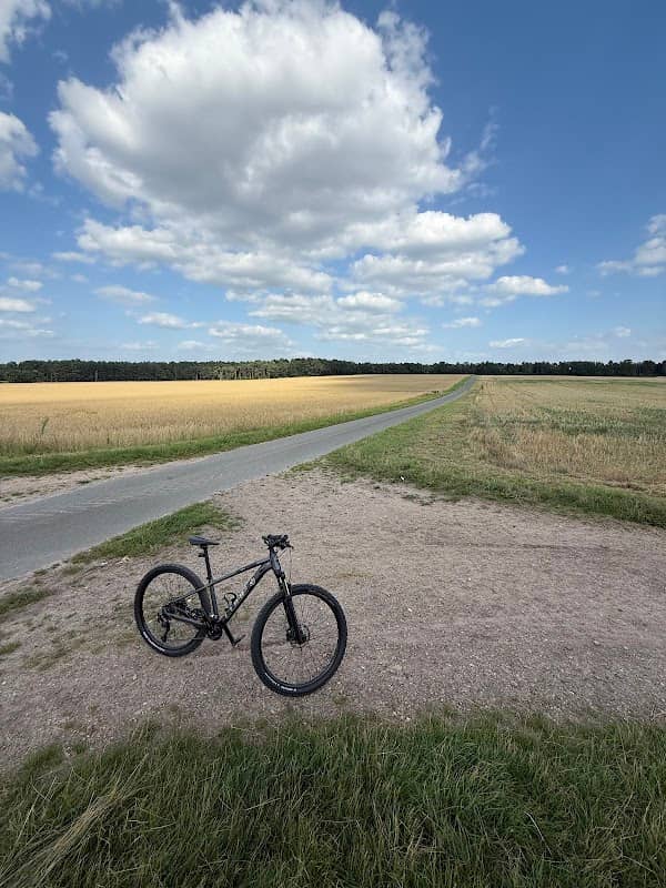Crosswald - Fahrrad-Parkour - Image 1