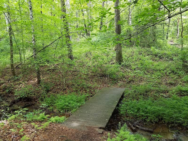 Ivy Creek Foundation - Image 1
