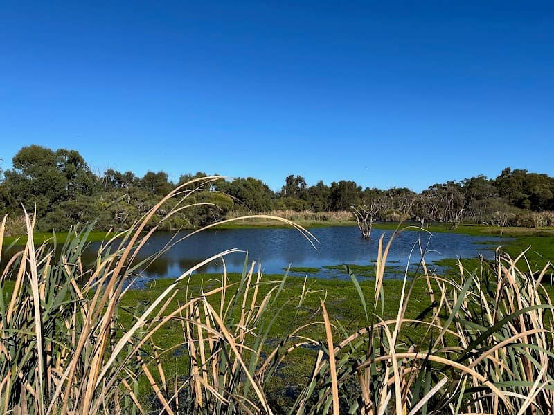 Herdsman Lake Regional Park - Image 2