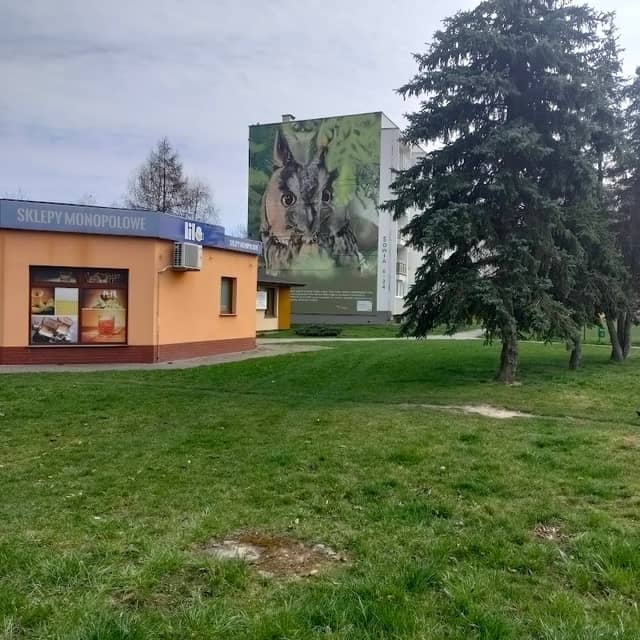 Mural Sowia - Image 2