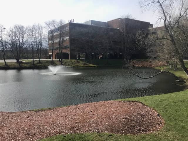 Unicorn Park - Image 1