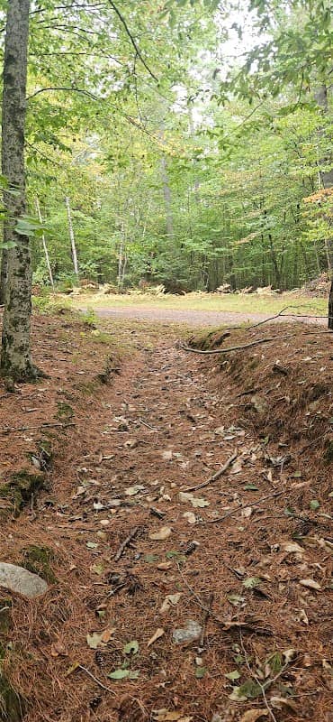 Scribner-Fellows State Forest - Image 2