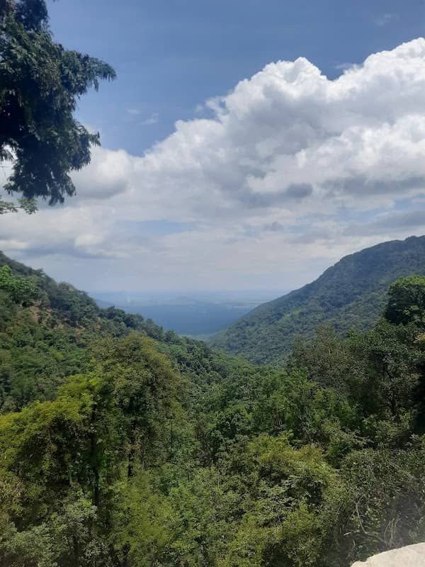 View point Coimbatore Ooty Hwy - Image 1