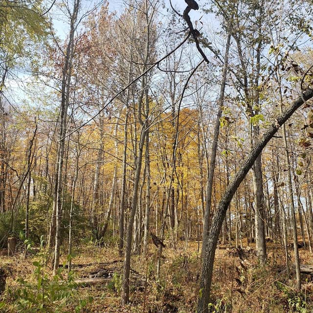 Garber Nature Center - Image 1