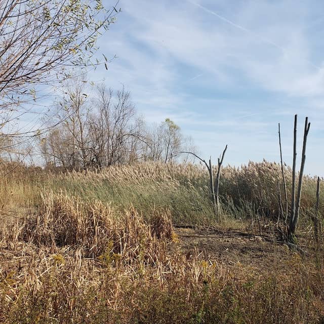Garber Nature Center - Image 2