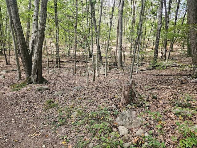 Frenchtown Park and Frye Nature Preserve - Image 3