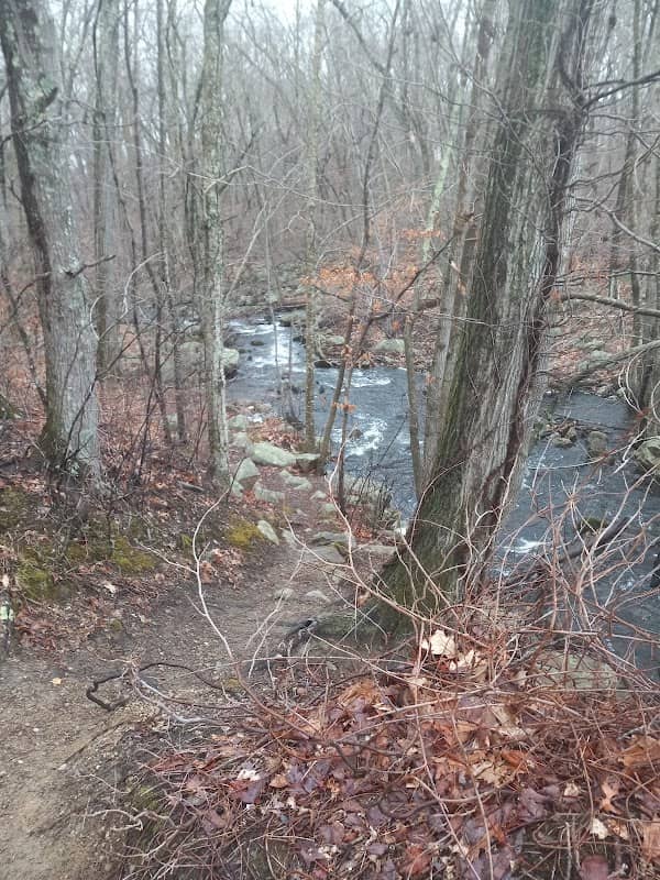 Frenchtown Park and Frye Nature Preserve - Image 2